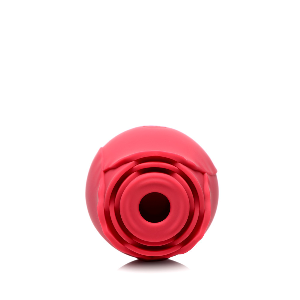 Buy the Bloomgasm Enchanted Rose 10-function Rechargeable Silicone ...