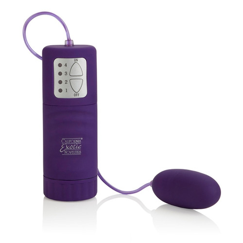 Buy the Pocket Exotics 4-function Bullet Vibe in Purple - CalExotics Cal Exotics California Exotic Novelties