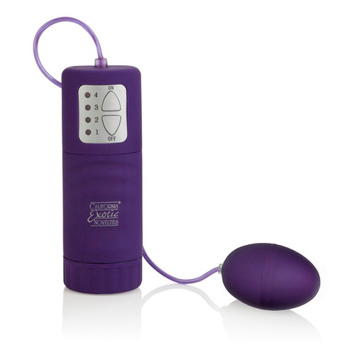 Buy the Pocket Exotics 4-function Egg Vibe in Purple - CalExotics Cal Exotics California Exotic Novelties