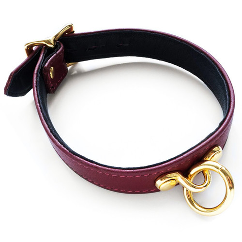 Buy the JT Signature Collection Brown Leather Locking Collar with Gold Hardware - The StockRoom