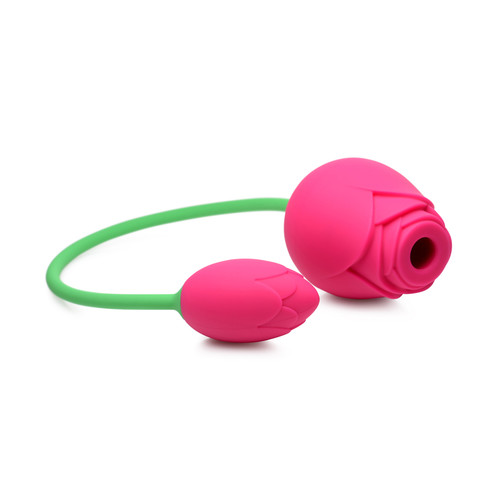 Buy the Rose Duet 15-function Rechargeable Silicone Flower-shaped Suction Sucking Rose & Wired Rosette Vibrator Bullet Clitoral Nipple Stimulating in Pink & Green - XR Brands Inmi