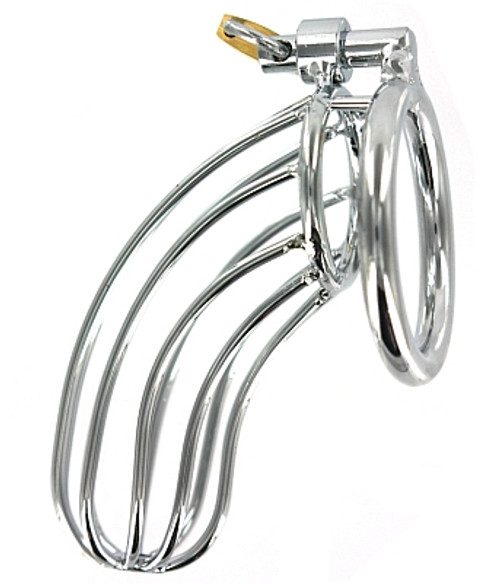 Buy the The Bird Cage Locking Stainless Steel Male Chastity Device with 3 sizing rings - XR Brands Master Series