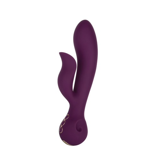 Buy the Obsession Lover 10-function Rechargeable Dual Motor Silicone Vibrator in Purple and Gold