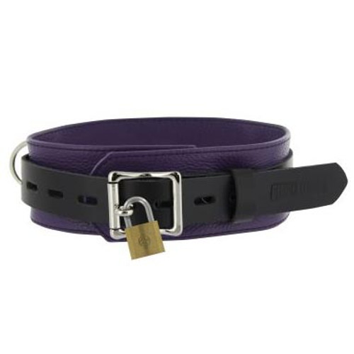Strict Leather Deluxe Black & Purple Locking Leather Collar