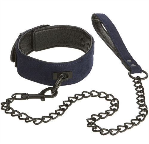 James Deen Black and Blue My Little Pet Leash and Collar Set