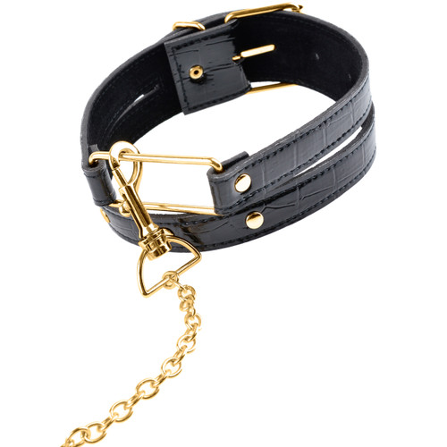 Fetish Fantasy Gold Collar and Leash Set