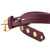 Strict Leather Luxury Burgundy Locking Leather Collar