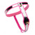 Master Series Pink Silicone & Stainless Steel Adjustable Female Chastity Belt