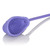 Buy the Silicone Intimate Pump Pro Vibrating Arouser for Women Purple - Cal Exotics Novelties