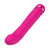 Buy the Yoni 14-function Dual-ended Rotating Rechargeable Silicone Personal Wand Massager Pink -FemmeFunn Nalone