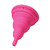 Buy the Lily Cup Compact Size B Collapsible Silicone Menstrual Cup With Case - LELO Intimina