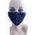 Buy the Deadly Sins Wrath Black Spike Studded Triple Layer Face Mask With replaceable Filter Pocket PPE Personal Protective Equipment - Neva Nude
