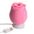 Buy the Bloomgasm Wild Rose 10-function Rechargeable Silicone Flower-shaped Suction Vibrator Clitoral Nipple Stimulating in Pink - XR Brands Inmi