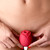 Buy the inBloom Rosales 10-function Rechargeable Silicone Flower-shaped Suction Vibrator Clitoral Nipple Stimulating in Red - The Vibed