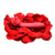 Buy the Passion Petals 20-function Rechargeable Silicone Suction Flower with Vibrating Shaft in Red - XR Brands Inmi