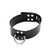 Buy The Black PVC Locking Collar with D-Ring made in the USA - StockRoom 