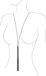 The Magnifique Collection Chain Necklace Whip