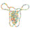 Buy the Multicolor Candy Male Thong Posing Pouch - Spencer & Fleetwood