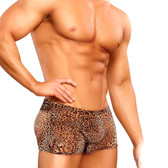 Buy the Cheetah Print Pouch Boxer Brief Shorts Animal - Male Power