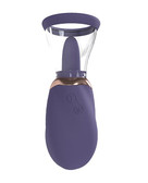 Pumped Boost Automatic Rechargeable Vulva & Breast Pump Purple