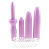 Buy the Berman Center Intimate Accessories Dilator Set Purple Vaginal Dilator With 4 Sizes & Sleeve - Cal Exotics Berman Institute Center