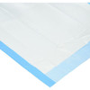 Dynarex Disposable Chair Size Underpad with Polymer Top View