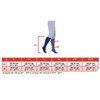 JOBST forMen Knee High 15-20mmHg Open Toe SoftFit Full Calf Compression Stockings | Long Length - sizing chart