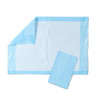 Medline Protection Plus Disposable Chair Pad, Moderate Absorbency, 17” x 24”, Bulk Packaged