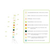ProAdvantage - Urinalysis Reagent Test Strips Product Information View