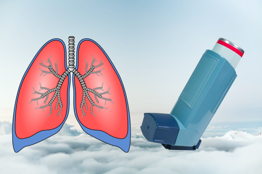 Coping with Asthma in Everyday Life