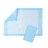 Medline Protection Plus Disposable Chair Pad, Moderate Absorbency, 17” x 24”, Bulk Packaged
