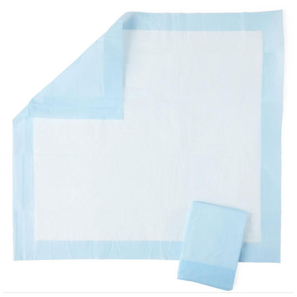 Medline Protection Plus Disposable Chair Pad, Moderate Absorbency, 23 x 24 - blue backing
