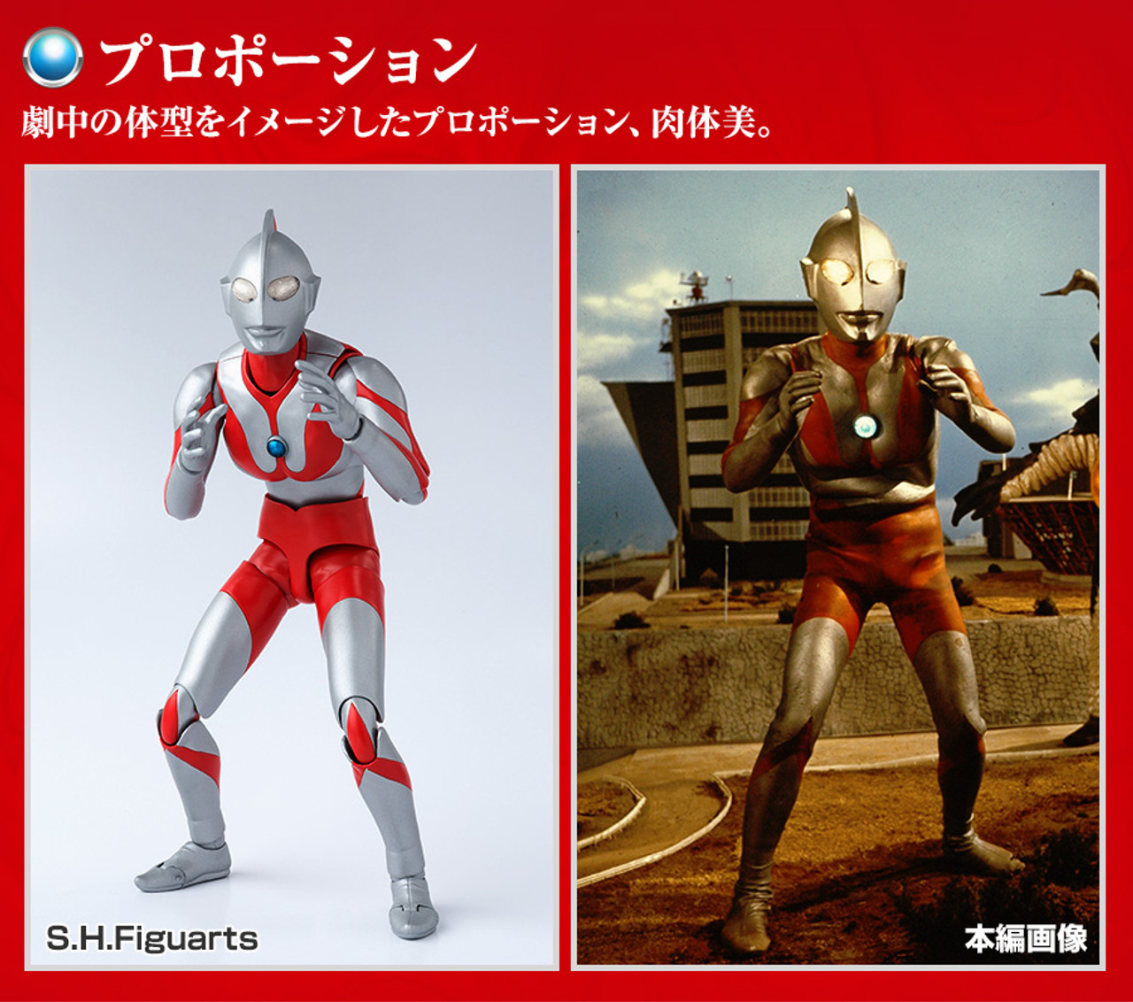 S.H.Figuarts Ultraman 50th Anniversary Edition SET