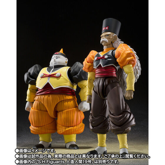 S.H.Figuarts Android 20 (Dragon Ball Z) Action Figure