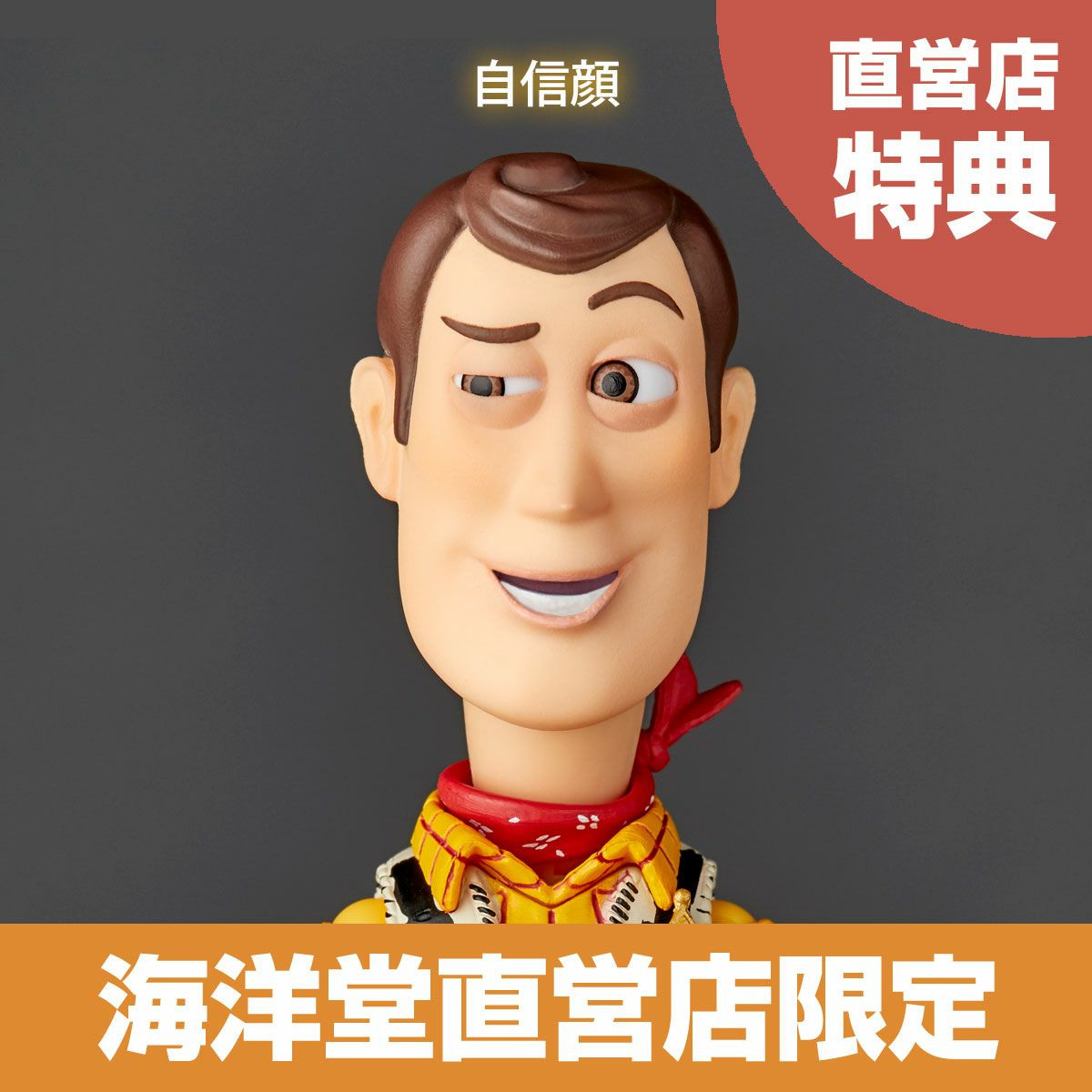 Revoltech Woody (TOY STORY) Ver.2.0 Action Figure