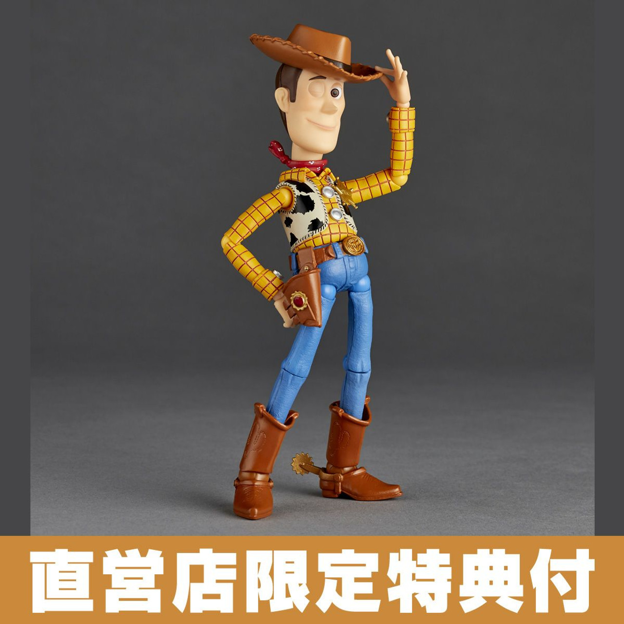 Revoltech Woody (TOY STORY) Ver.2.0 Action Figure [with Bonus]