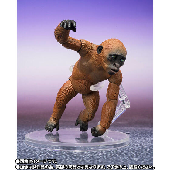 SUKO & MOTHRA (2024) フィギュア S.H.MonsterArts SUKO & MOTHRA (2024) FROM GODZILLA × KONG: THE NEW