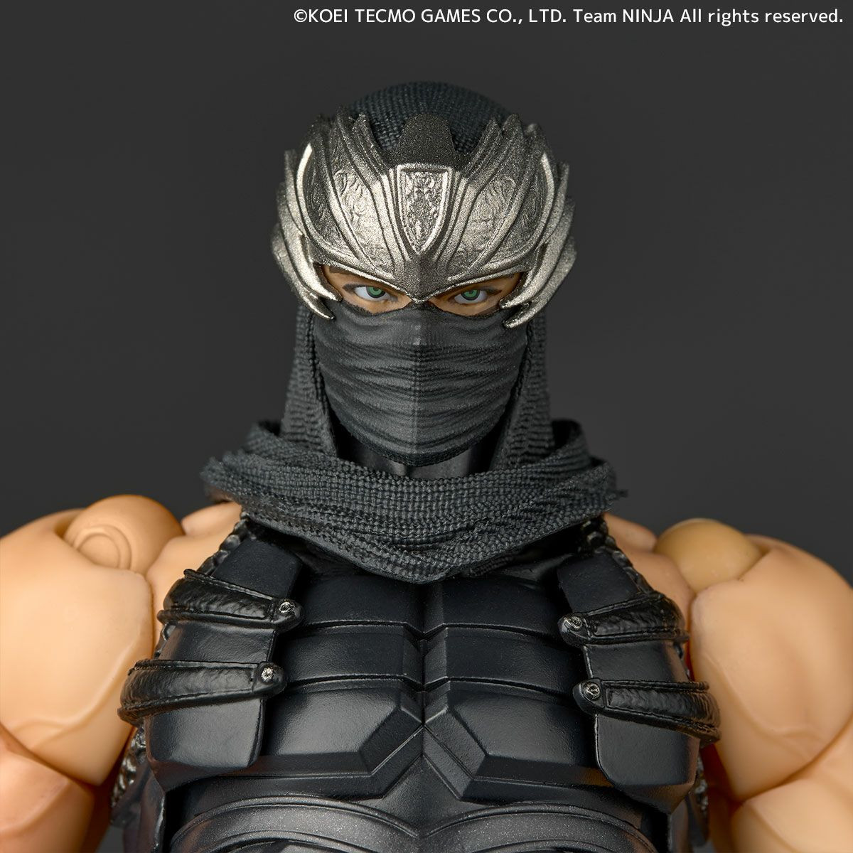 Revoltech Amazing Yamaguchi Ryu Hayabusa (NINJA GAIDEN 3: Razor's