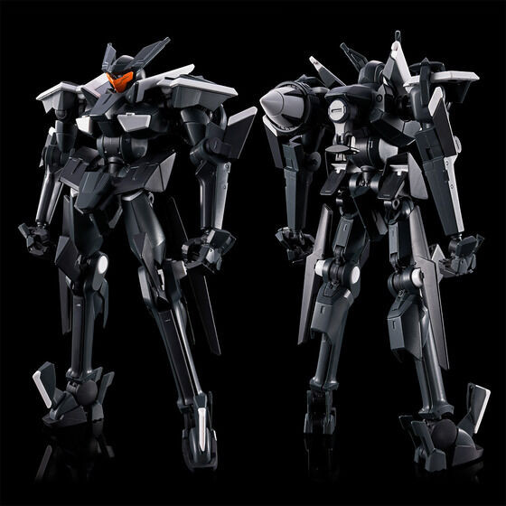 HG 1/144 UNION FLAG CUSTOM II [GN FLAG] Plastic Model