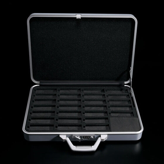 Kamen Rider W T2 Gaia Memory Case