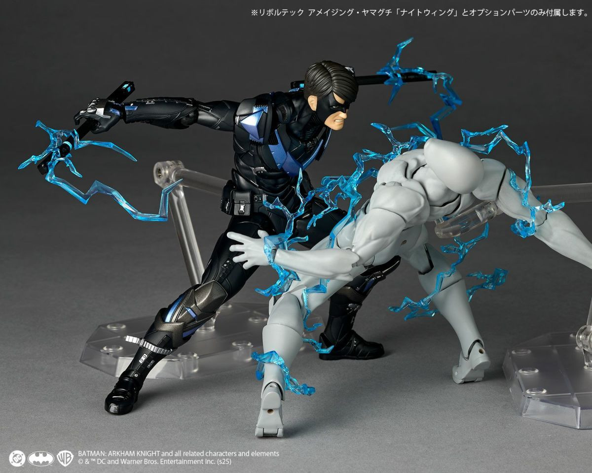 Revoltech Amazing Yamaguchi Nightwing Action Figure