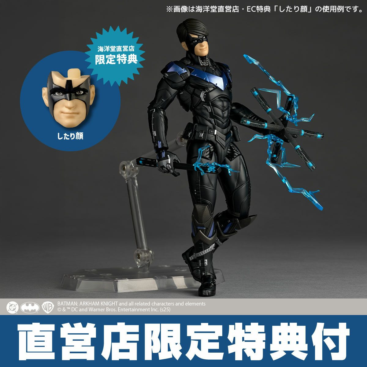 Revoltech Amazing Yamaguchi Nightwing Action Figure