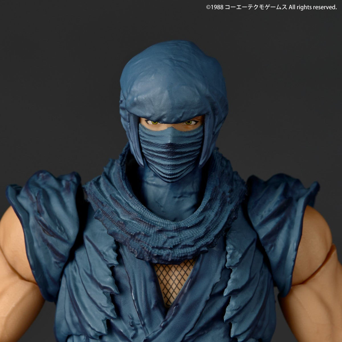 Revoltech Amazing Yamaguchi Ryu Hayabusa NINJA GAIDEN Ver. Action