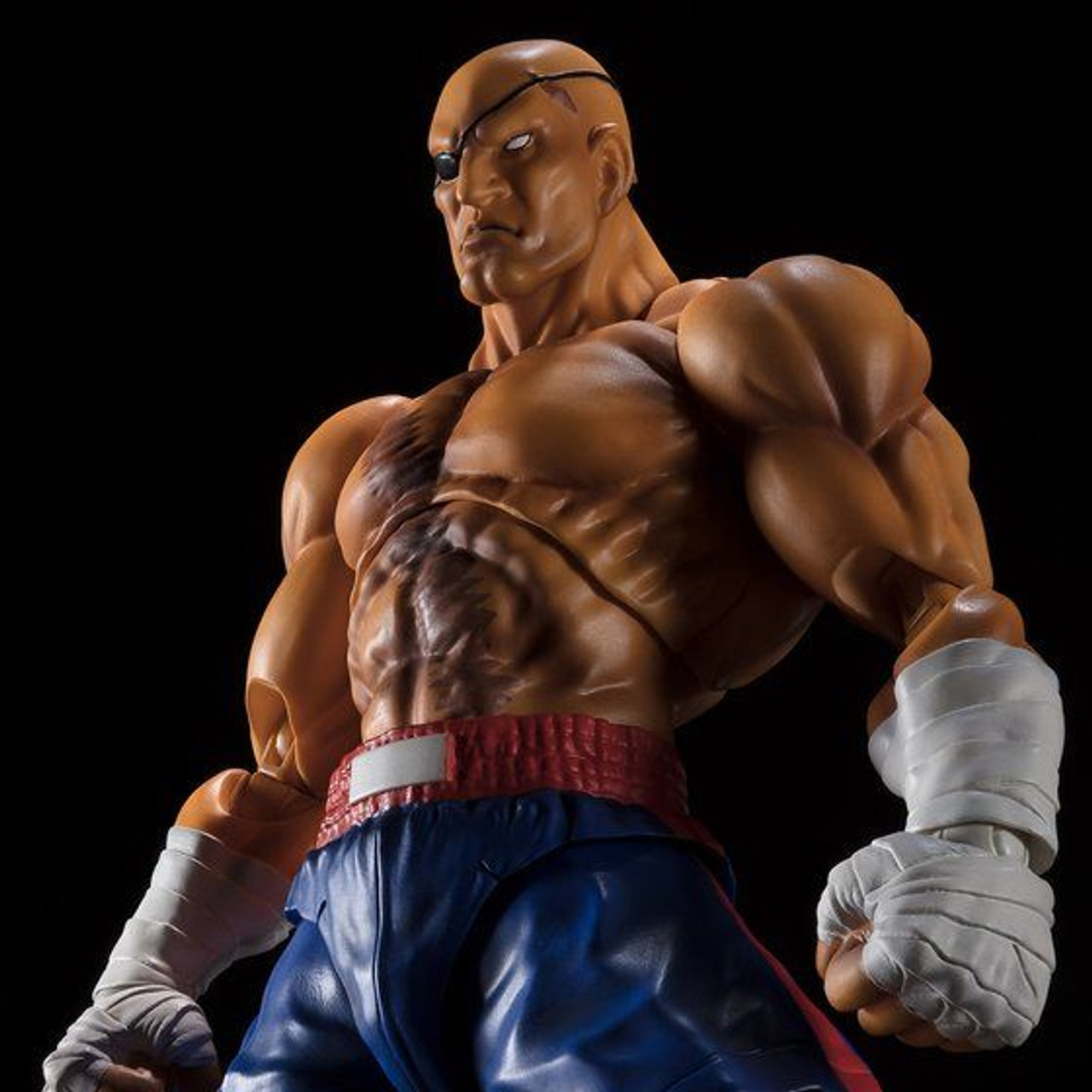 SHFiguarts サガット　ストリートファイターV フィギュアーツ FIG]S.H.Figuarts サガット 「ストリートファイターV」 魂ウェブ