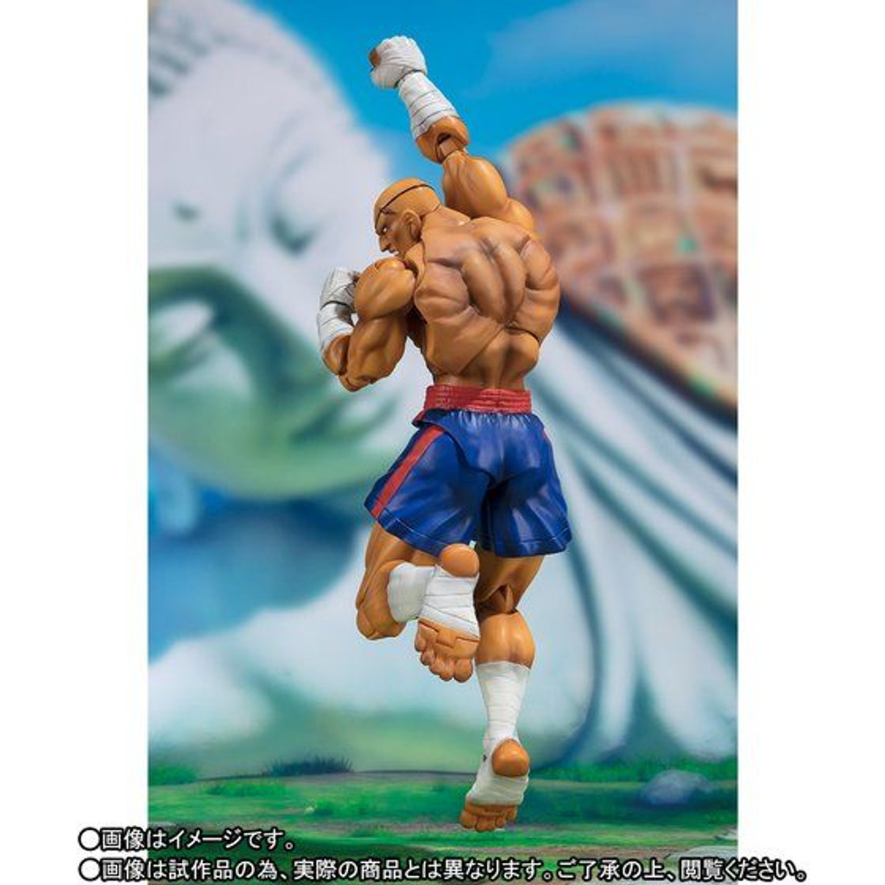SHFiguarts サガット　ストリートファイターV フィギュアーツ 魂ネイションズ S.H. Figuarts サガット ストリートファイター V