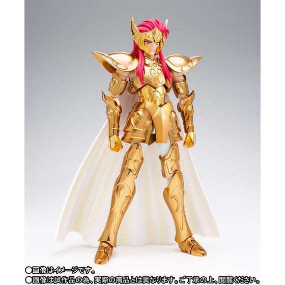 Saint Cloth Myth EX Aquarius Camus ORIGINAL COLOR EDITION Action