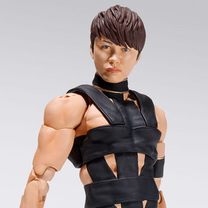 S.H.Figuarts T.M.Revolution Action Figure