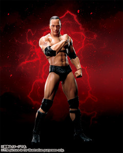 S.H.Figuarts The Rock Action Figure