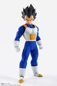 IMAGINATION WORKS Vegeta (Dragon Ball Z) Action Figure