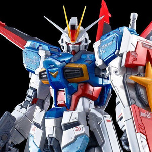 RG 1/144 Force Impulse Gundam [Titanium Finish] Plastic Model ( MAR 2022 )